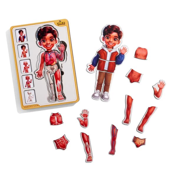 Деревянный пазл-вкладыш "Анатомия человека - мальчик-2" (ПСД261) PSD261 строение тела