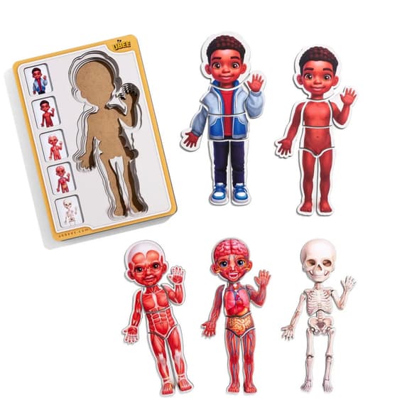 Деревянный пазл-вкладыш "Анатомия человека - мальчик-3" (ПСД262) PSD262 строение тела