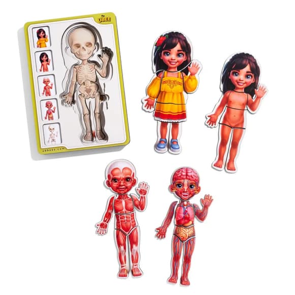 Деревянный пазл-вкладыш "Анатомия человека - девочка-2" (ПСД263) PSD263 строение тела