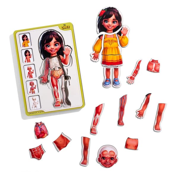 Деревянный пазл-вкладыш "Анатомия человека - девочка-2" (ПСД263) PSD263 строение тела