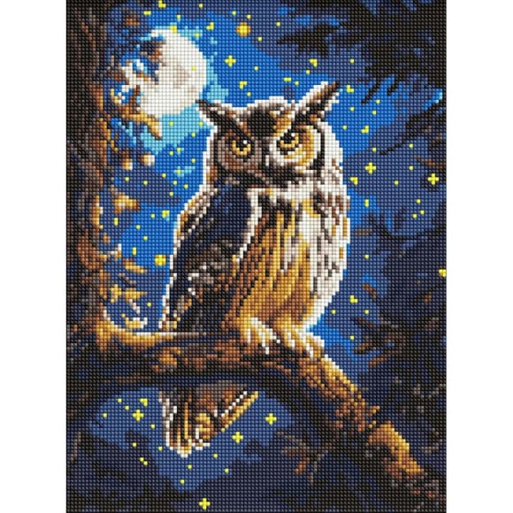 Алмазная мозаика "Ночная сова" ©art_selena_ua AMO8160, 30x40 см  