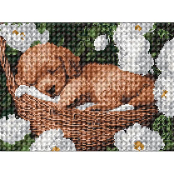 Алмазна мозаїка "Сплячий пудель" ©art_selena_ua AMO8170, 30x40 см