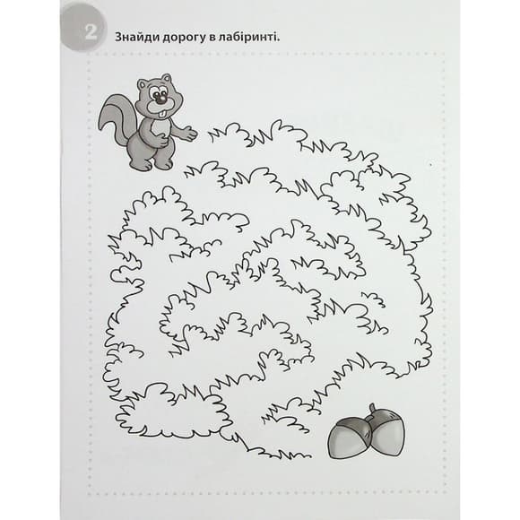 Учебная книга "Сумасшедшие головоломки" 137923, 40 страниц