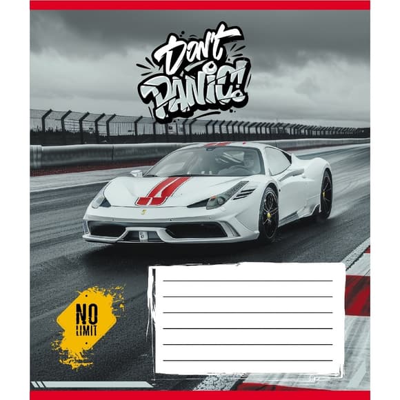 Тетрадь ученическая "Без паники" 012-510164C-4 в косую линию, 12 листов