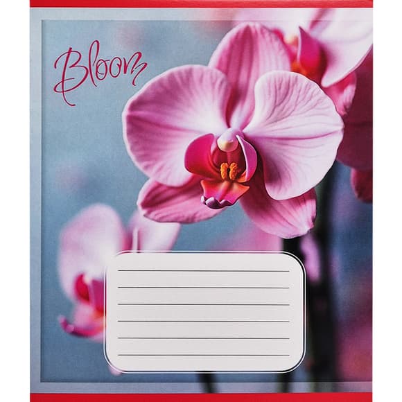 Тетрадь ученическая "Орхидеи" 018-530261K-1 в клеточку, 18 листов