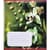Зошит учнівський "Орхідеї" 018-530261K-2 в клітинку, 18 аркушів