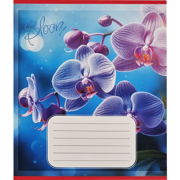 Тетрадь ученическая "Орхидеи" 018-530261K-3 в клеточку, 18 листов