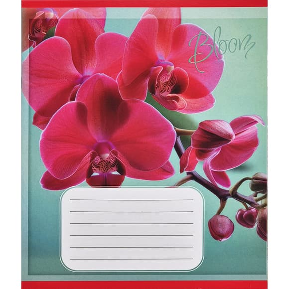 Тетрадь ученическая "Орхидеи" 018-530261K-5 в клеточку, 18 листов