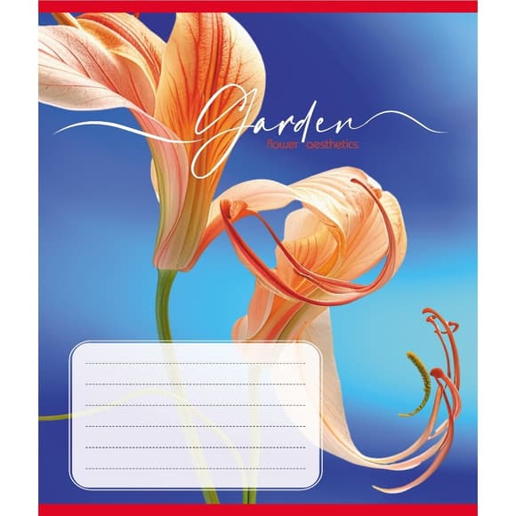 Зошит учнівський "Естетика" 024-550443K-1 в клітинку, 24 аркуші