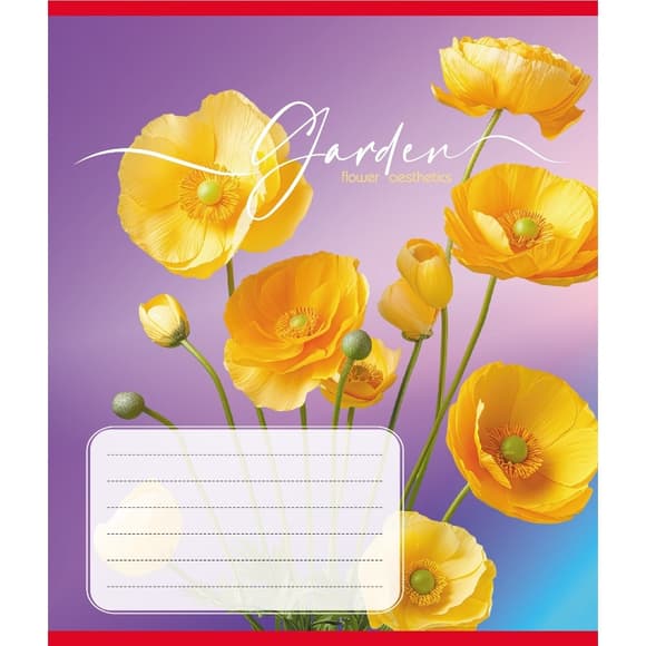 Тетрадь ученическая "Эстетика" 024-550443K-2 в клеточку, 24 листа