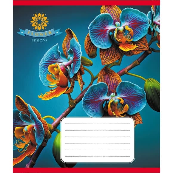 Зошит учнівський "Орхідея" 036-570137K-2 в клітинку, 36 аркушів