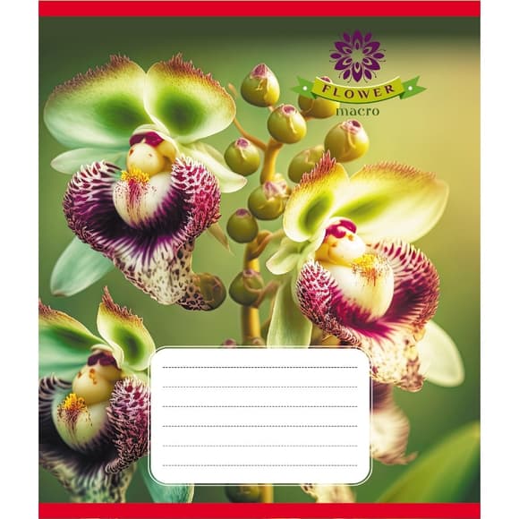 Тетрадь ученическая "Орхидея" 036-570137K-4 в клеточку, 36 листов