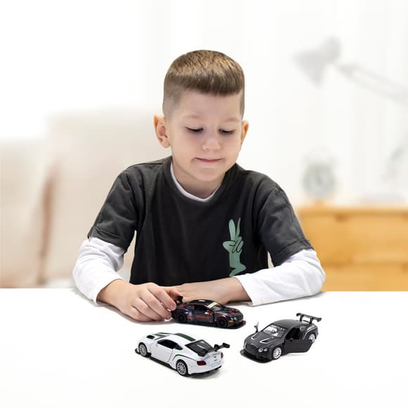 Детская автомодель BENTLEY CONTINENTAL GT3 TechnoDrive 250260 черный