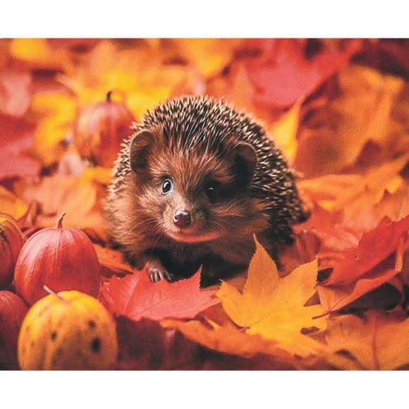 Алмазна мозаїка "Осінь у колючках" SK88227 40х50 см