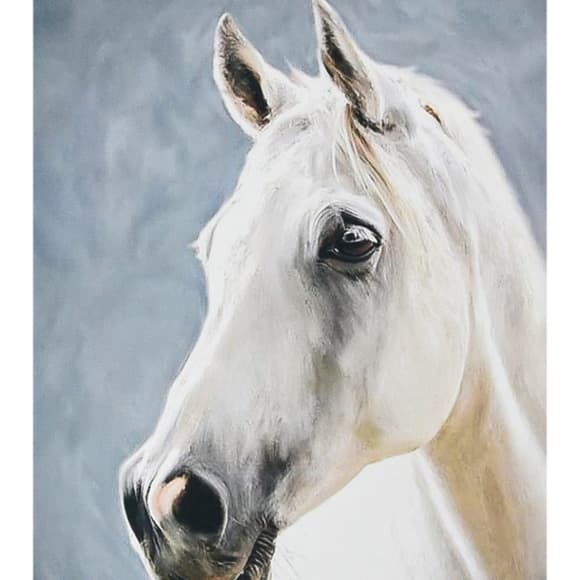 Алмазная мозаика "Сила природы" SK88246 40х50 см