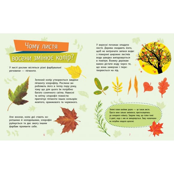 Навчальна книжка Чомусики "Рослини" 875010 запитання та відповіді