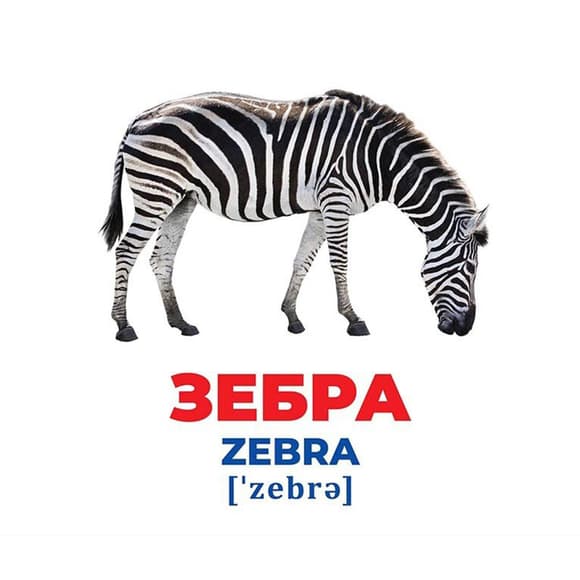Набір розвиваючих карток Геній з пелюшок "Тварини різних широт" 10107200, 17 карток
