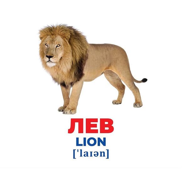 Набір розвиваючих карток Геній з пелюшок "Тварини різних широт" 10107200, 17 карток