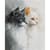 Алмазна мозаїка "Два милих котика" DBS1261, 40х50 см