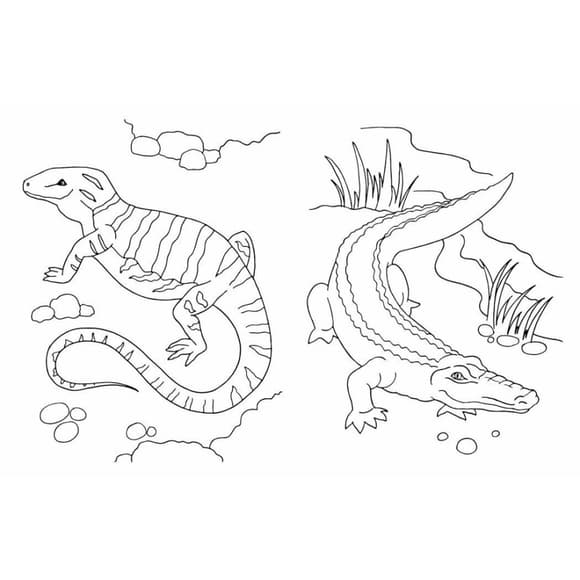 Большая книга раскрасок Животные 1736031, 64 страницы