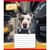 Тетрадь ученическая "Собака в городе" 024-560077L-3 в линию, 24 листа 