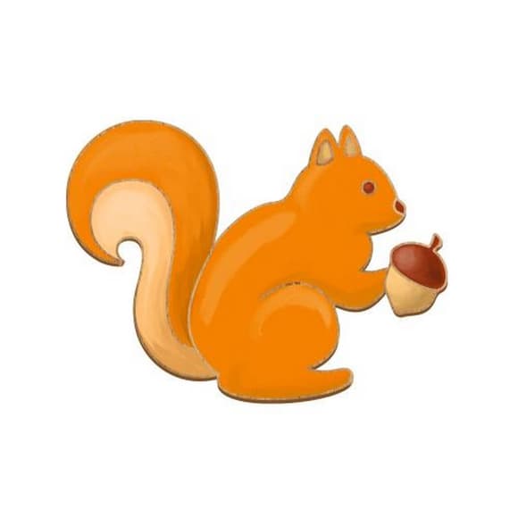 Заготовка броши для раскрашивания "Белка с желудем" FDZB-102