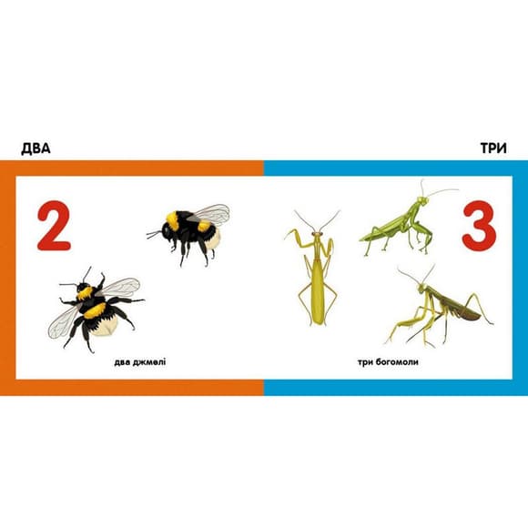 Детская смарт-книжка "Считаем насекомых" 944010, 24 страницы