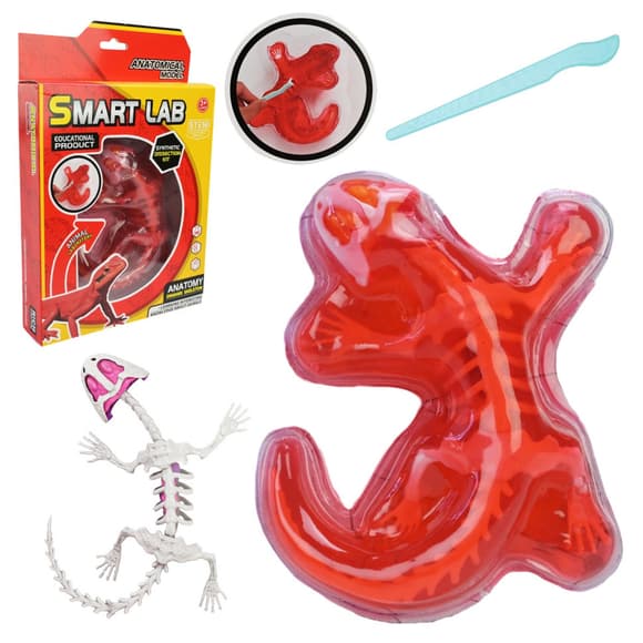 Детский лабораторный набор Ящерица 803B, скелет, внутренние органы