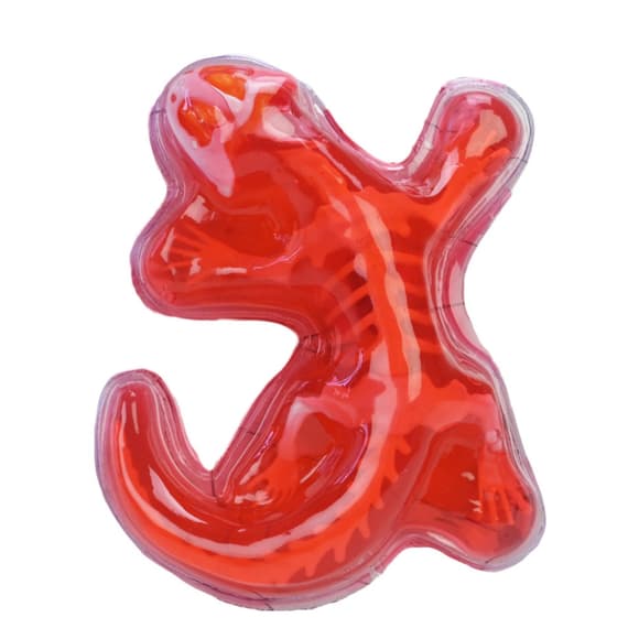 Детский лабораторный набор Ящерица 803B, скелет, внутренние органы