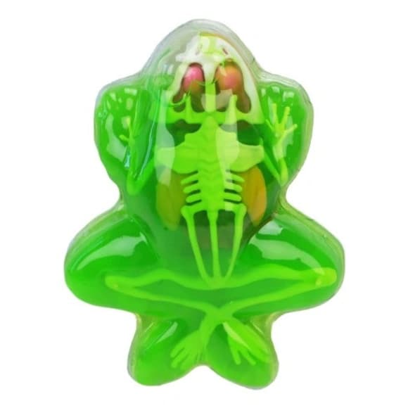 Детский лабораторный набор Лягушка 801B, скелет, внутренние органы