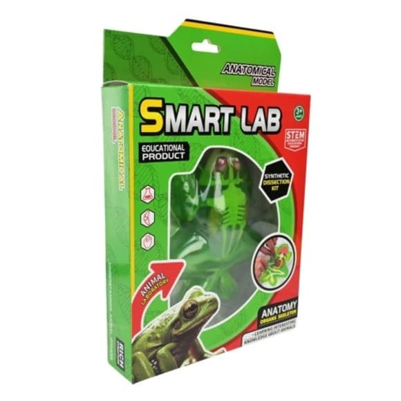 Детский лабораторный набор Ля гушка 801B, скелет, внутренние органы