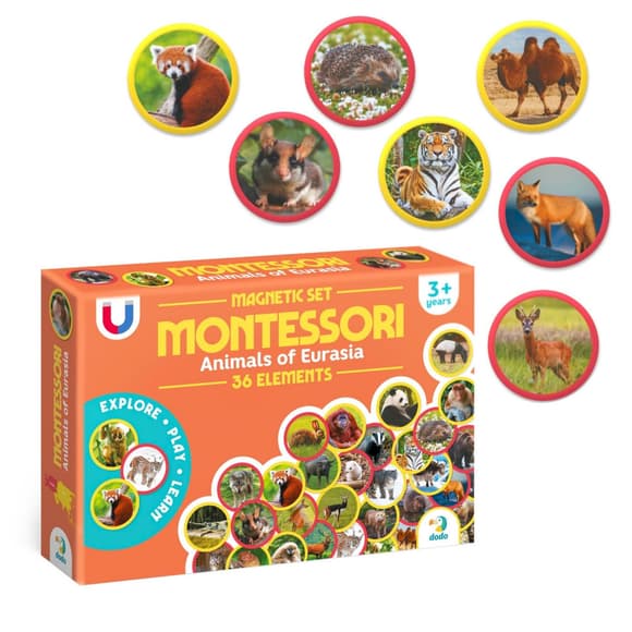 Детский магнитный набор Монтессори "Животные на континентах: Евразия" 200285, 36 элементов