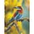 Алмазная мозаика "Птица" DM3004 с мольбертом 17x22.5 см