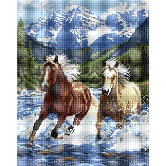 Алмазная мозаика "Сила в движении" AMO20010, 40х50 см