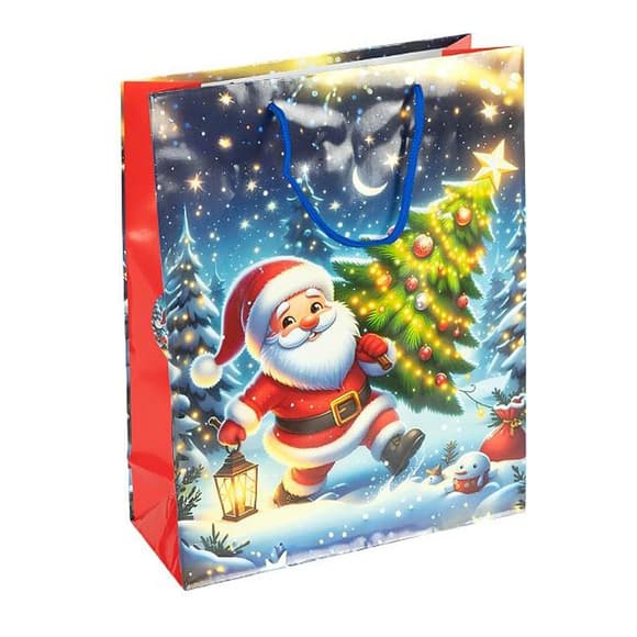 Пакет подарунковий "Новий Рік" 2576-1-4 розмір 18х21,5х8 см