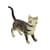 Детская игрушечная фигурка животного "Domestic Shorthair" TBS081-12 