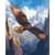 Картина по номерам "Полет над бескрайностью" 11748-AC 40х50 см