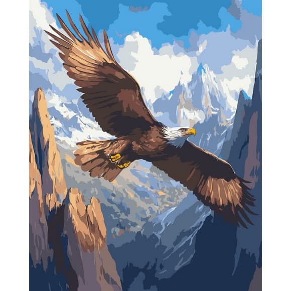 Картина по номерам "Полет над бескрайностью" 11748-AC 40х50 см