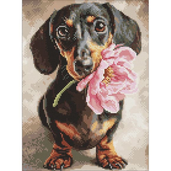 Алмазна мозаїка "Песик і сюрприз" ©art_selena_ua AMO20219, 30х40 см