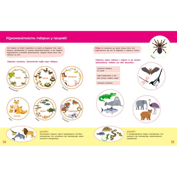 Дитяча книжка "Школа Кенгуру. Пізнаємо світ" III крок 1917003