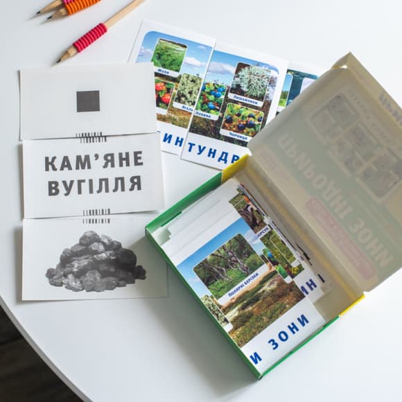 Набор тематических карточек "Природные зоны" 13169002 для детей 4-6 лет