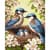 Картина за номерами "Сім'я синиць у цвіті" KHO6941, 40х50 см