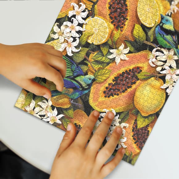 Пазл классический Easy-XL "Ботаника. Тропические фрукты" 300616, 770 элементов