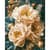 Картина за номерами "Ніжні півонії" LW3159-01 з фарбами металік 40х50 см