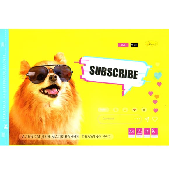 Альбом для рисования "Subscribe" АП-0302-13, 12 листов